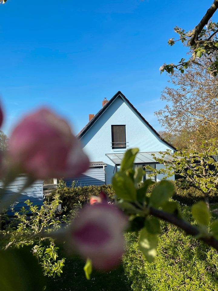 Frühbucherrabatt - Ferienhaus am See „Dat Wildberghus“ in Wildberg (Vorpommern)