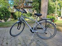 28 Zoll Herrenfahrrad Pegasus Milano GT mit Alurahmen Berlin - Steglitz Vorschau