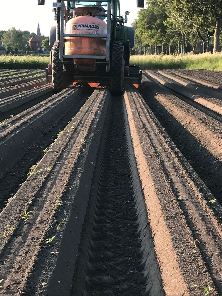 Landwirt, Fachkraft Agrarservice, Traktor, Schlepper Fahrer in Harsum