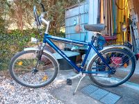 Herrenfahrrad 26 Zoll Sachsen - Radeburg Vorschau