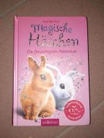 Buch Magische Häschen Bayern - Mömbris Vorschau