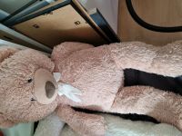 Teddybär 1 Meter Bayern - Wendelstein Vorschau