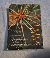 Zimmerpflanzen von heute und morgen: Bromeliaceen Neumann Verlag Leipzig - Grünau-Ost Vorschau