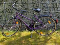 Kildemoes Colibri Damenrad Fahrrad Tourenrad Damenfahrrad Rad Nordrhein-Westfalen - Netphen Vorschau
