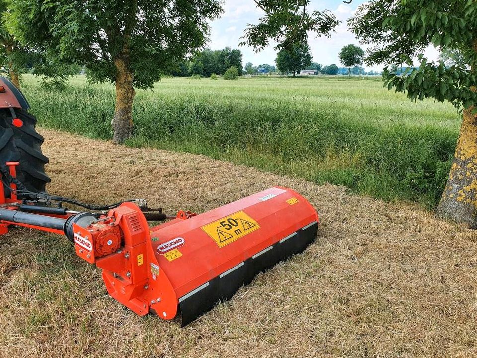 Mähen,mulchen,schlegeln,Garten,Koppel, PV Park in Bahrenfleth