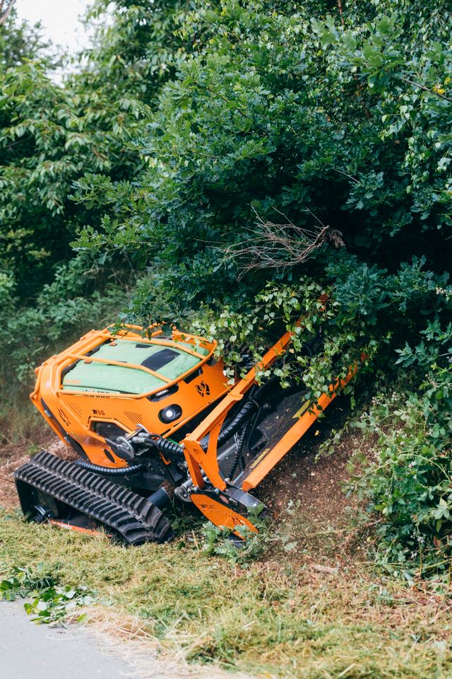 MDB LV800 PRO Forstraupe/ Mulchraupe mit MDB Forstmulchkopf-Lager in Schmallenberg