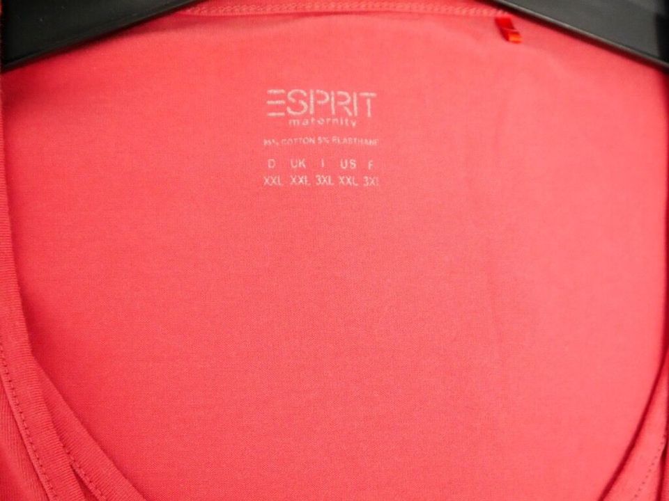 Esprit Stillshirt Langarm ⛄Größe 44/XXL⛄️ in Waldkraiburg
