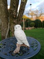 Porzellanfigur Eule Niedersachsen - Lohne (Oldenburg) Vorschau