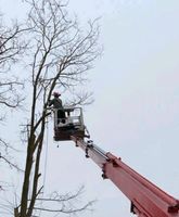 ❗Baumfällung,Hecke/Problem/Baum fällen / entfernen, Baufeldrodung Bayern - Bruckberg bei Landshut Vorschau