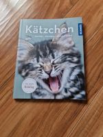 Kätzchen Buch halten, pflegen und beschäftigen Nordrhein-Westfalen - Radevormwald Vorschau