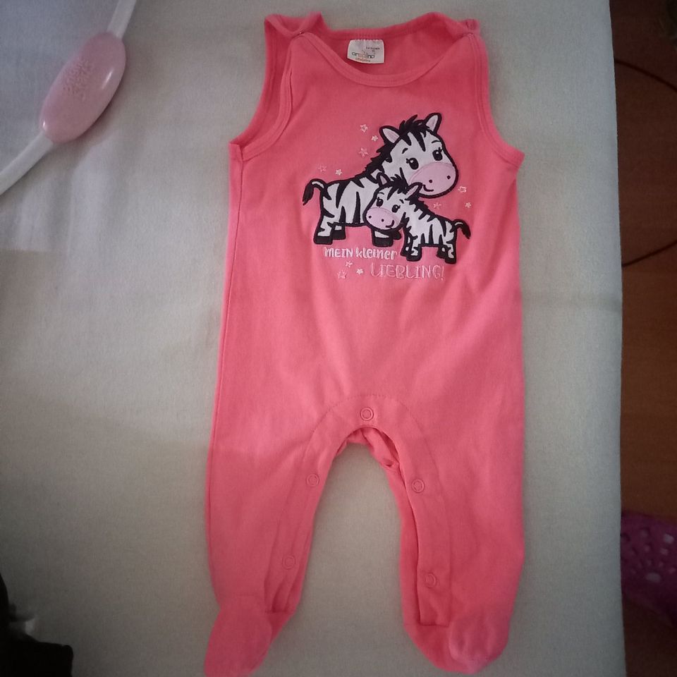 Kleidung für Mädchen ab geboren zu verkaufen in Hameln