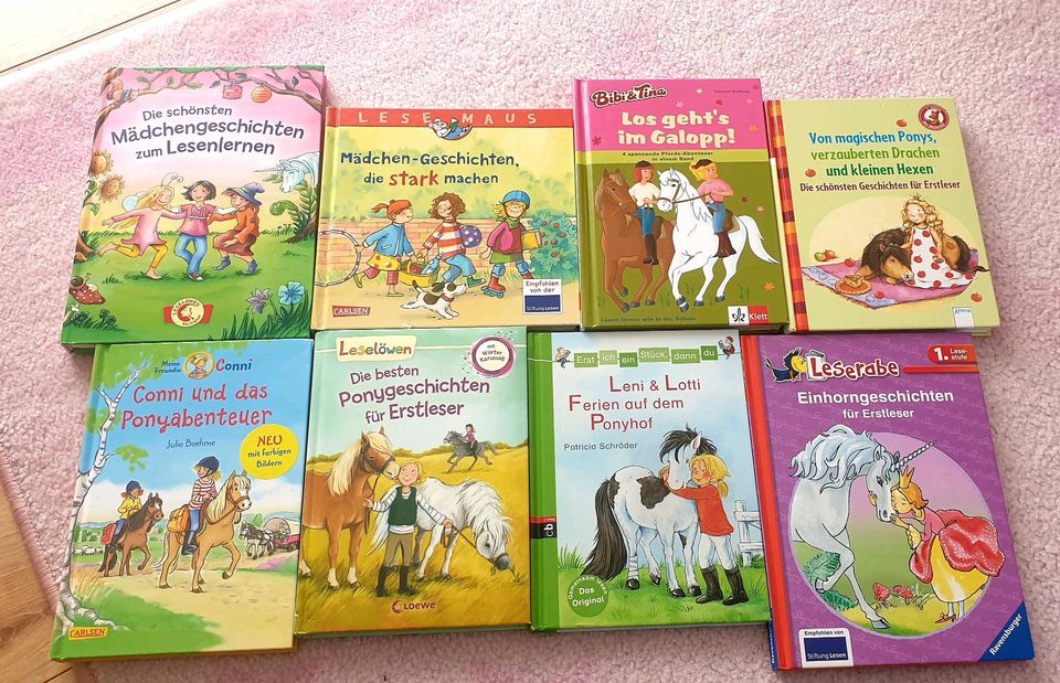 Erstleser Kinderbücher Pferd, Einhorn in Bad Wimpfen