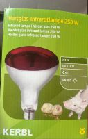 2 Stück Infrarotlampe 250W Sachsen - Chemnitz Vorschau