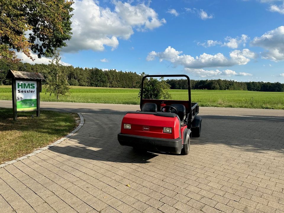 Toro Workman HDX-D 4WD Transportfahrzeug Gator in Weidenbach