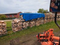 Brennholz Laubmix, Feuerholz, Kaminholz inkl. Lieferung Niedersachsen - Barnstorf Vorschau