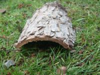 Versteck Höhle Dekoration Röhre Lärche Kastanie Terrarium Schleswig-Holstein - Vaalermoor  Vorschau