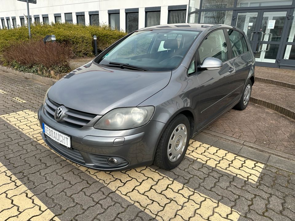 VW Golf Plus1.9 TDI Klimaanlage ZV+Funk el.FH el.SP in Ziesendorf