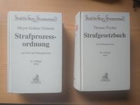 Kommentar StGB + StPO Baden-Württemberg - Bempflingen Vorschau