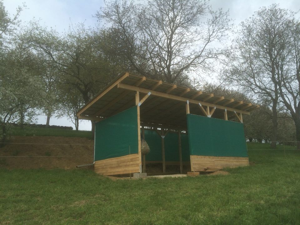 Hütte / Stall / Carport in Haldenwang