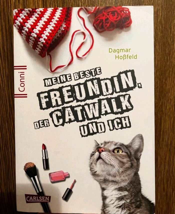 Meine beste Freundin der Catwalk und ich Buch in Leinefelde