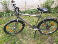 Herren Fahrrad 26 zoll Berlin - Spandau Vorschau