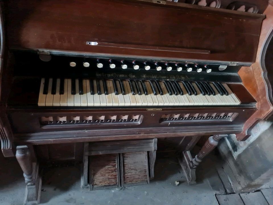 Tolles Harmonium in Salzwedel