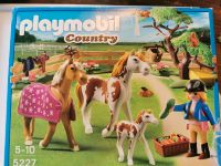 Playmobil Country 5227 Pferdekoppel Rheinland-Pfalz - Wissen Vorschau