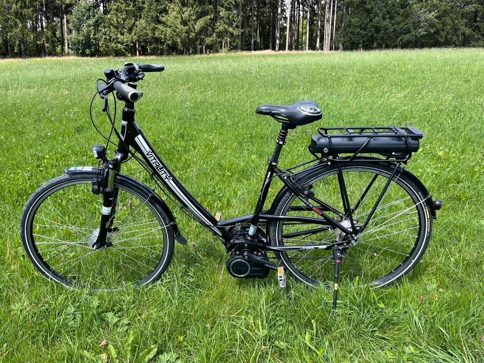 E-Bike Kreidler Vitality Elite in Bischofsgrün