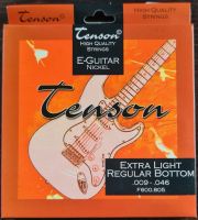 2 Sätze Tenson E-Guitar Extra Light Regular Bottom 009-046 Ilmenau - Möhrenbach Vorschau