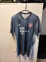 Adidas FC Bayern München Trikot 18/19 UCL Boateng Größe L Top Hessen - Groß-Bieberau Vorschau
