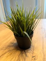 Ikea Gras FEJKA Topfpflanze, künstlich, drinnen/draußen Rheinland-Pfalz - Elkenroth Vorschau