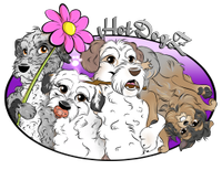 Die Hunde-Show für Kindergeburtstage, Seniorenheime uva Events Dortmund - Innenstadt-West Vorschau