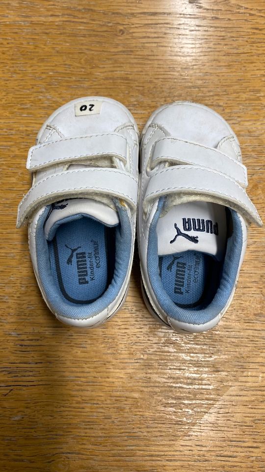 Puma Schuhe Babys Kleinkinder Größe 20 in Köln