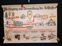 Alte Schulkarte ca 1929 - Werdegang und Verwendung des Zellstoff Saarland - Heusweiler Vorschau