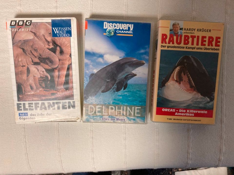 3 VHS-Kassetten: Raubtiere, Delphine und Elefanten in Illingen