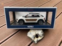 Citroën C4 Cactus Modellauto 1/18 Kiel - Schreventeich-Hasseldieksdamm Vorschau