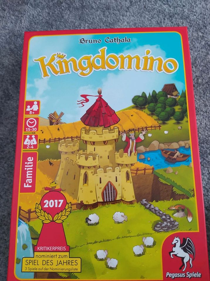 Kingdomino Spiel in Argenbühl