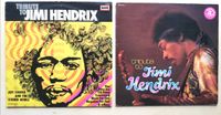 2 x Tribute to JIMI HENDRIX Europa Perl Serie Vinyl LP Nordrhein-Westfalen - Lienen Vorschau