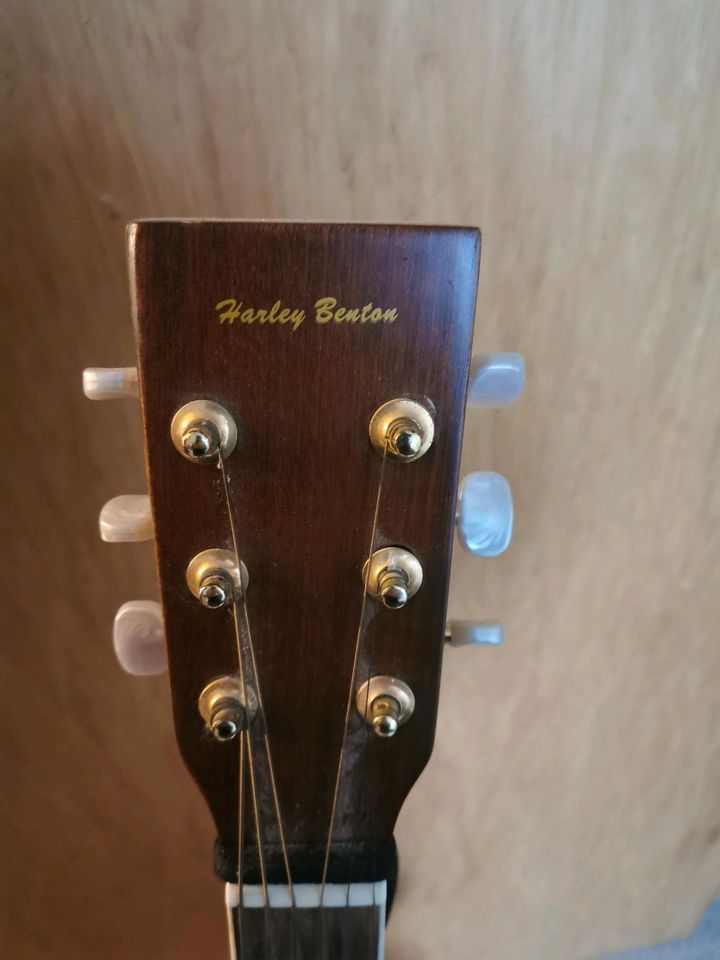 Harley Benton Gitarre in Diepenau