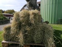 Heuballen maschinell entstaubt, staubarmes Pferd Heu in HD Ballen Nordrhein-Westfalen - Leichlingen Vorschau