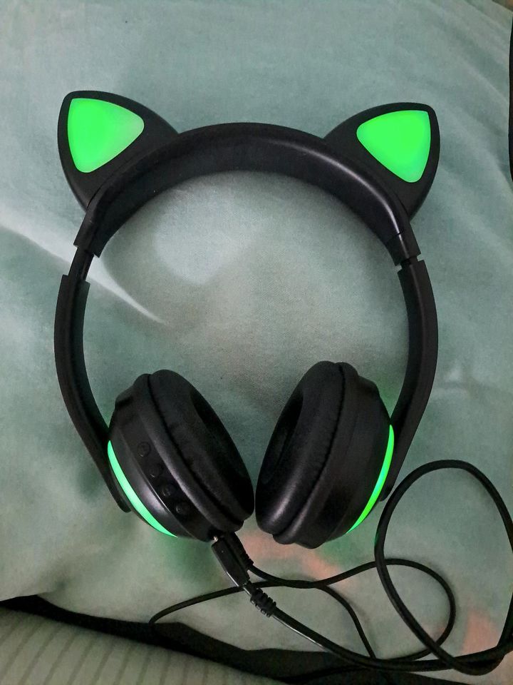 Katzen regenbogen Kopfhörer Kitty Headphones On-ear leuchten in  Hamburg-Nord - Hamburg Barmbek | Lautsprecher & Kopfhörer gebraucht kaufen  | eBay Kleinanzeigen ist jetzt Kleinanzeigen