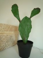 Feigenkaktus künstlich 39 cm Kaktus Kunstpflanze Rheinland-Pfalz - Saarburg Vorschau