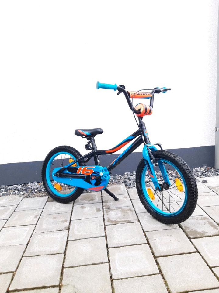 Kinderfahrrad 16 Zoll von Giant in Lauben