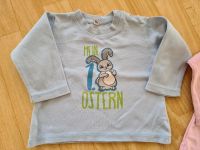 "Mein erstes Ostern" Pullover Gr 68 Junge Mädchen Sachsen-Anhalt - Bördeland Vorschau