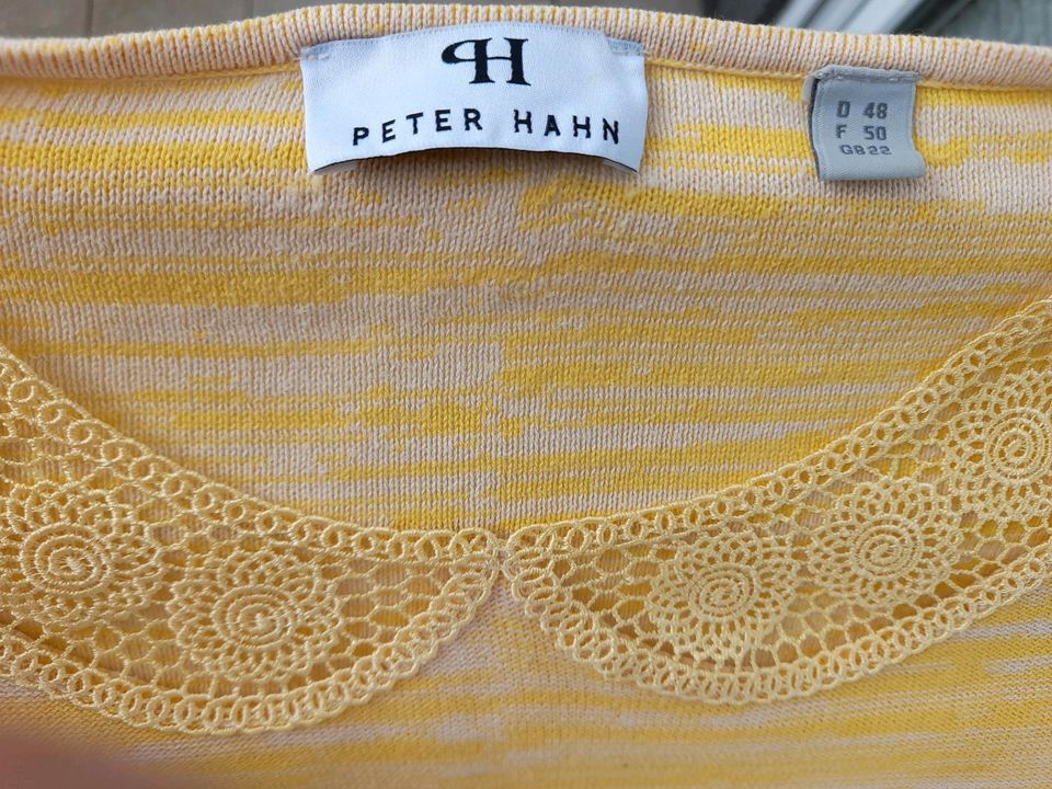 2 Peter Hahn Pullover gelb/weiß und braun/grau Gr. 48 in Kassel