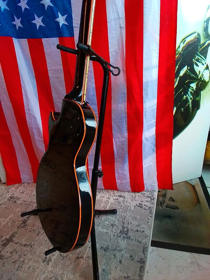 E-Gitarre Gibson Les Paul Spezial in Reichenbach an der Fils