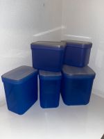 Tupperware - Swing Box - 5 Stück - blau Baden-Württemberg - Mauer Vorschau