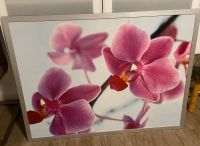 Großes Ikea Bild Dragby Rahmen Alu Orchidee Blüte Wietmarschen - Lohne Vorschau