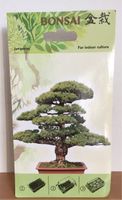 Bonsai Starter Kit Juniperus for indoor Culture Niedersachsen - Wolfsburg Vorschau