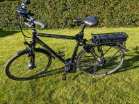 Pegasus Premio E 8 Herren E-Bike VB 600€ Niedersachsen - Wiesmoor Vorschau